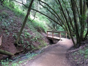 Traditions the Paths We Walk