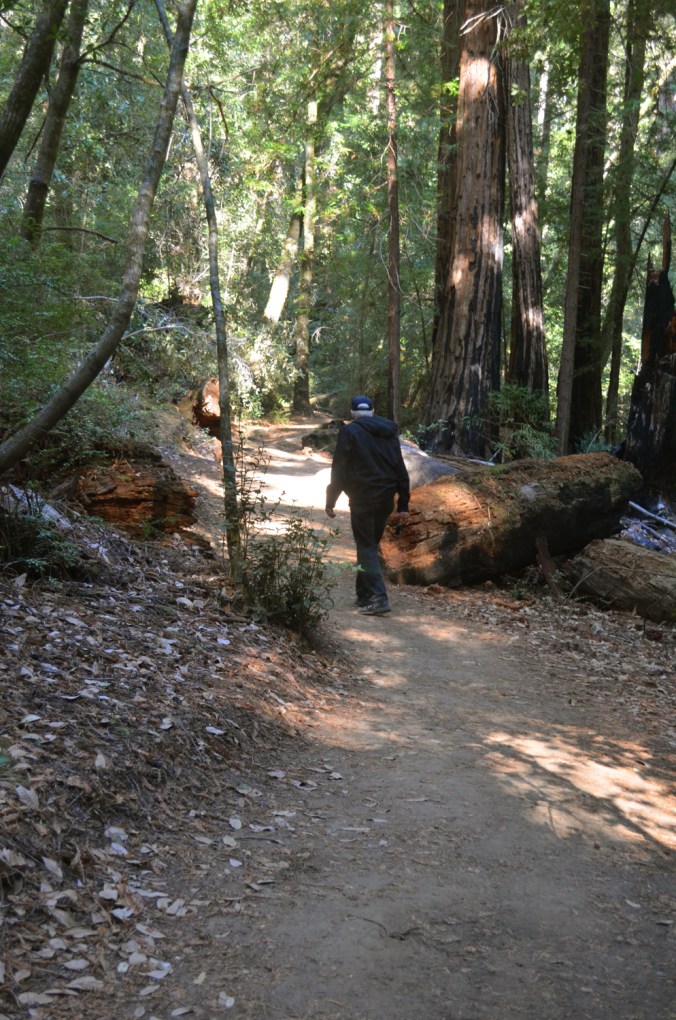 What Path Do You Walk?