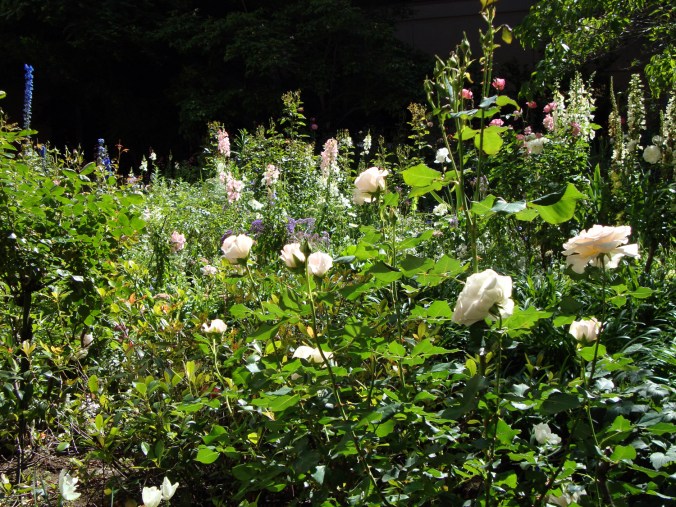 The Summer Lands Garden