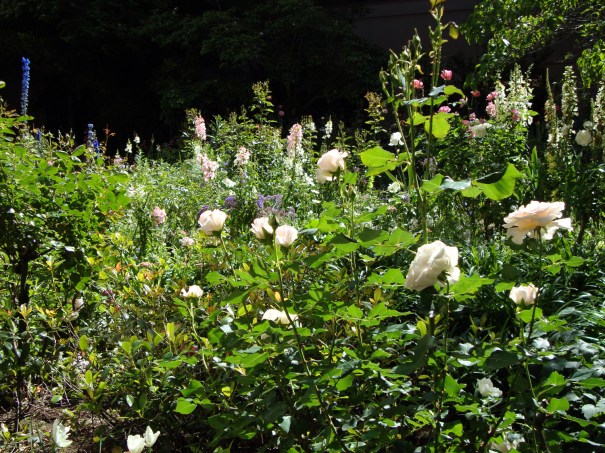 The Summer Lands Garden