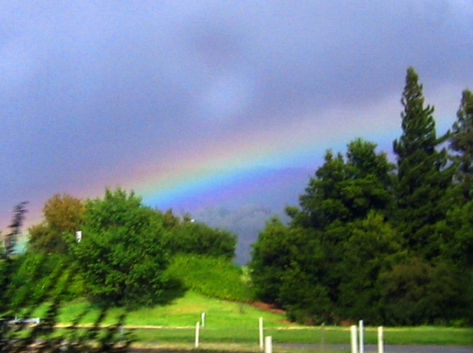 Rainbow