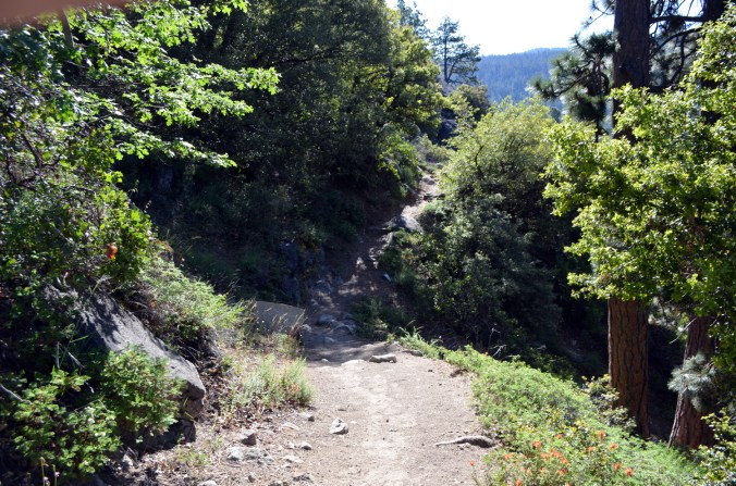 TravalingTheRightPath