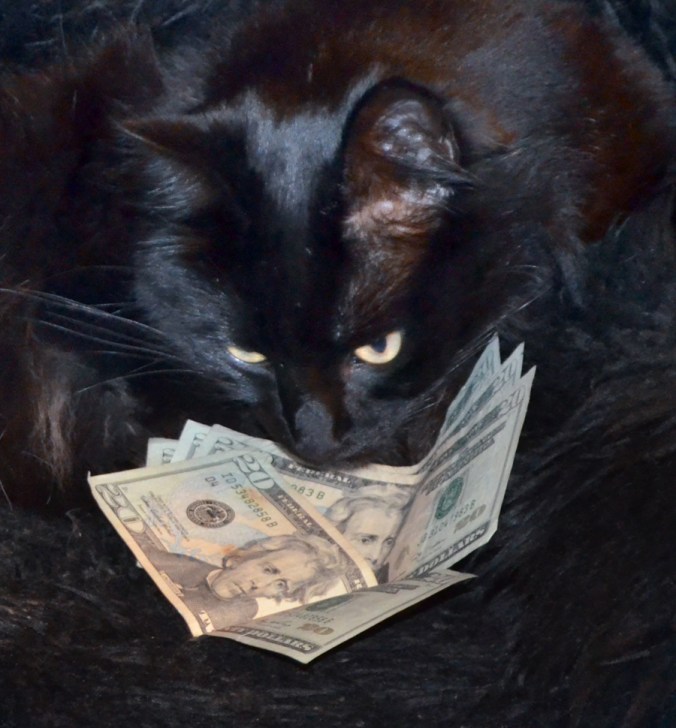 Cat_Cash2